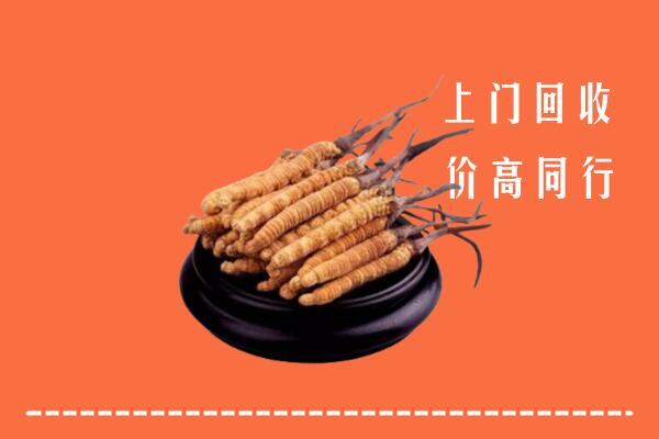呼伦贝尔回收冬虫夏草