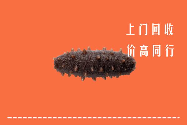 呼伦贝尔高价回收海参